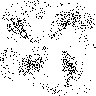 Effect 650