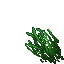 high grass