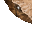 sand