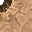 sand