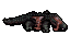 dead killer caiman