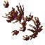 withered plants