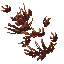 withered plants