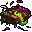 dead lancer beetle