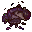 dead lancer beetle