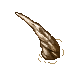 bone