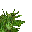 jungle grass