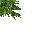 jungle grass
