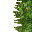 jungle grass