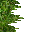 jungle grass