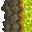 acid
