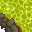 acid