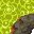 acid
