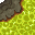 acid