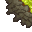 acid