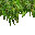 jungle grass