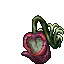 bitter calyx