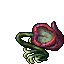 bitter calyx