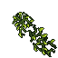 pillar vine