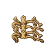 bones