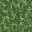 lush grass