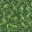 lush grass