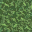 lush grass