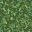 lush grass