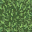 lush grass