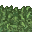 lush grass