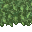 lush grass