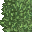 lush grass