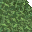 lush grass