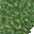 lush grass