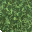 lush grass