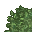 lush grass