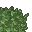 lush grass