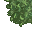 lush grass