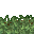 lush grass