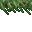 lush grass