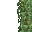 lush grass