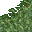 lush grass