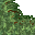 lush grass