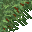 lush grass
