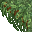 lush grass