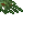 lush grass