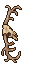deer antlers