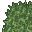 lush grass