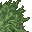 lush grass