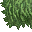 lush grass